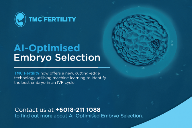 AI-Optimised Embryo Selection